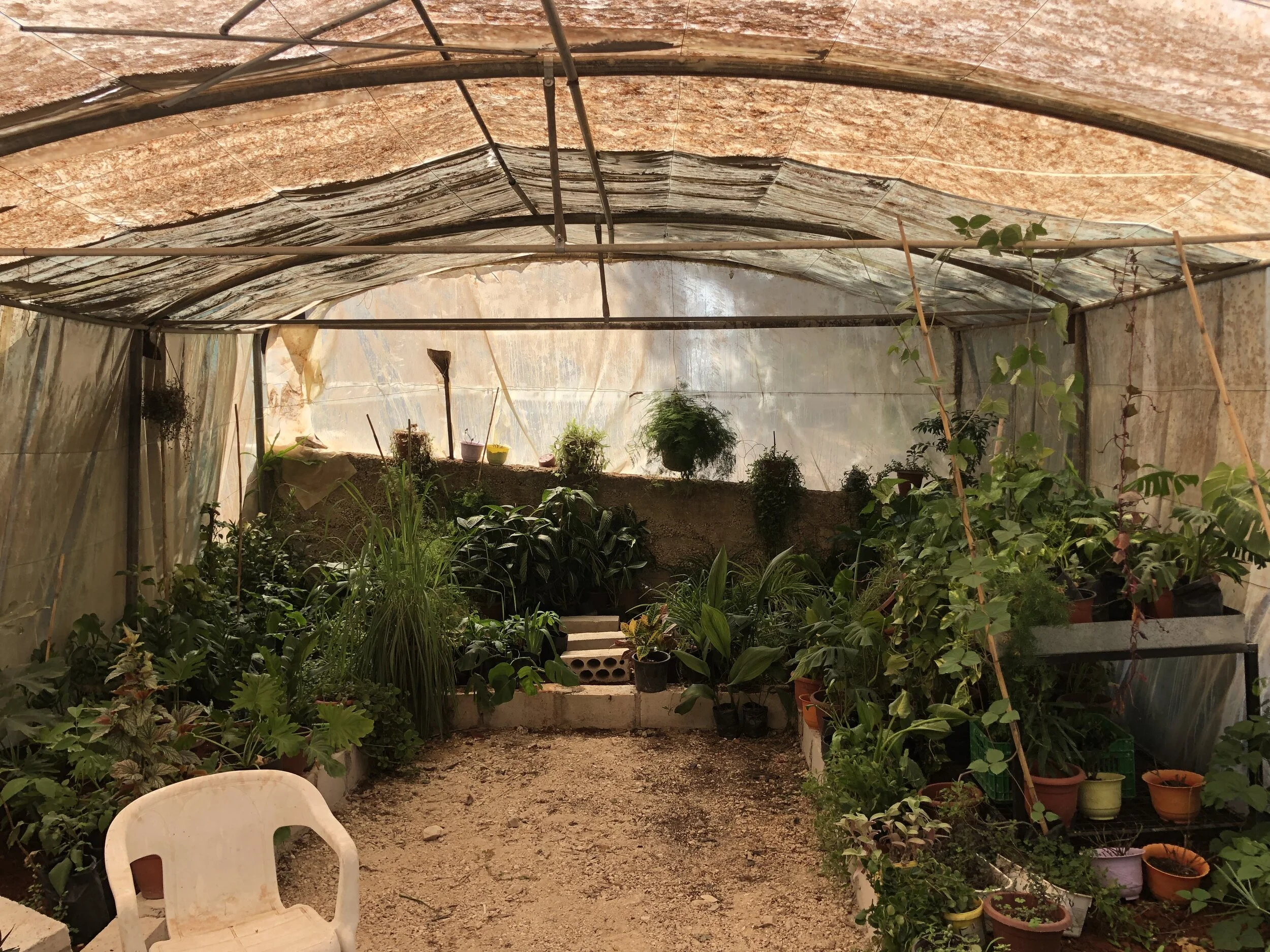  Making seed bombs in Umm Qais 