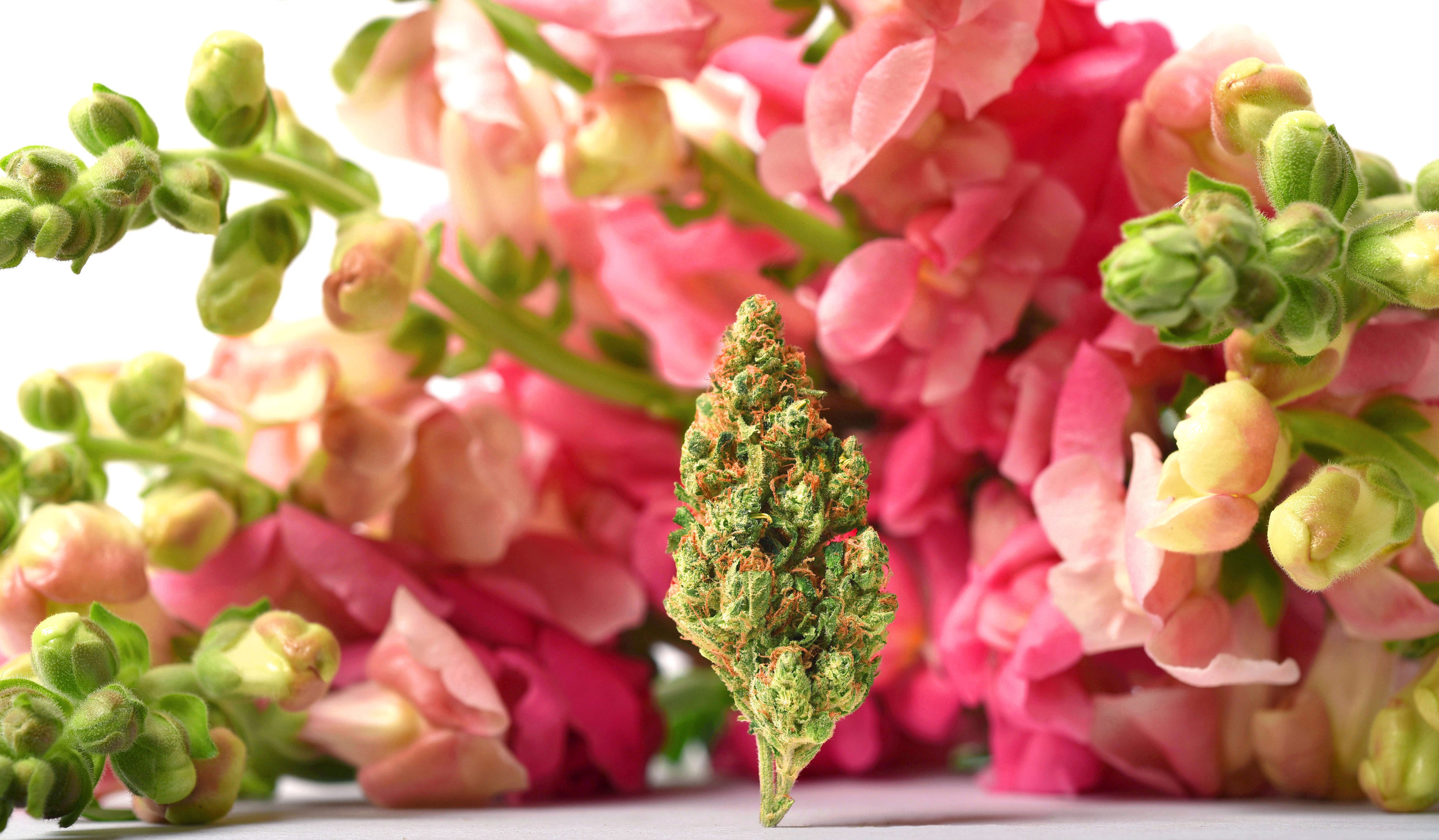 Sour Diesel Design.jpg