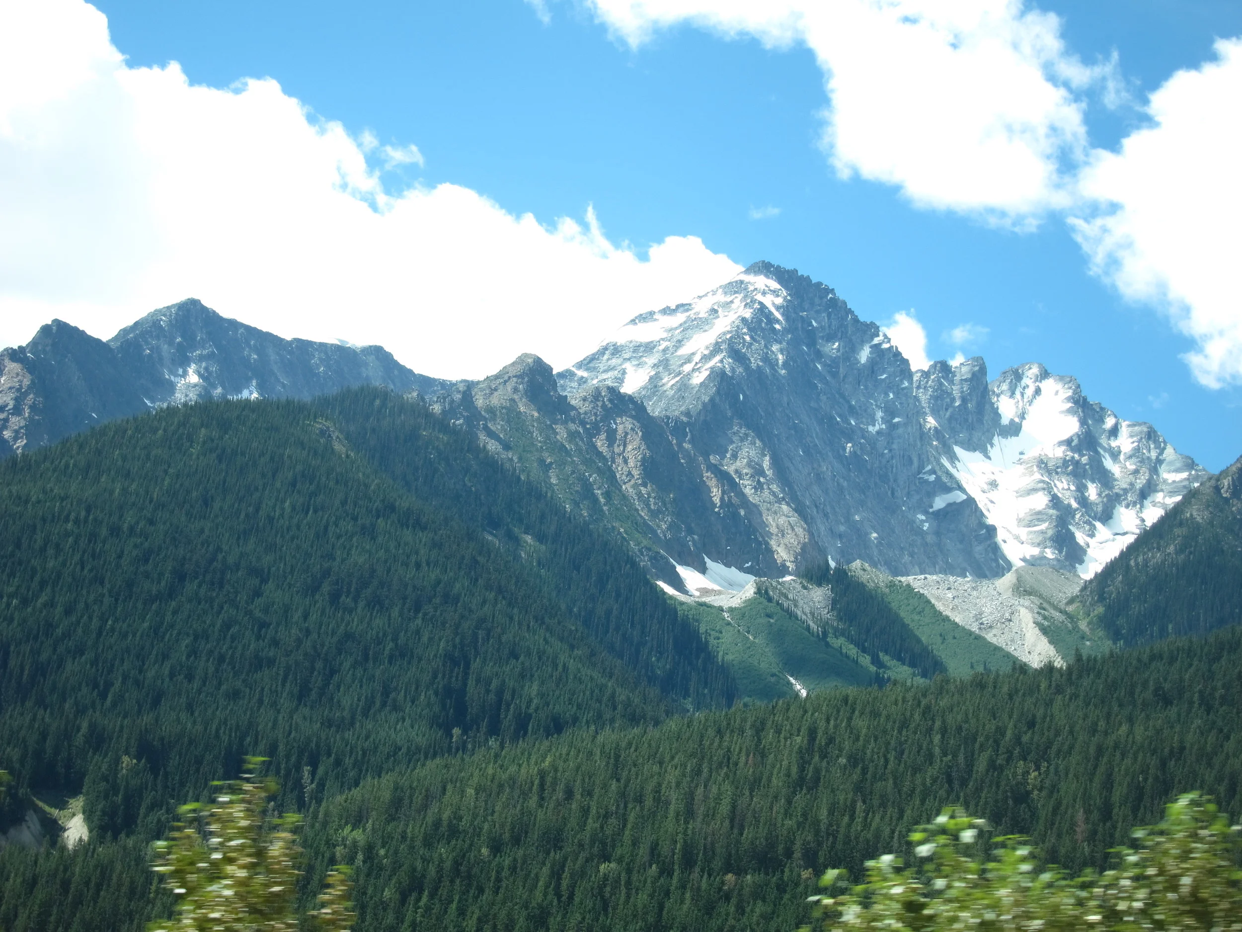 IMG_8913.JPG