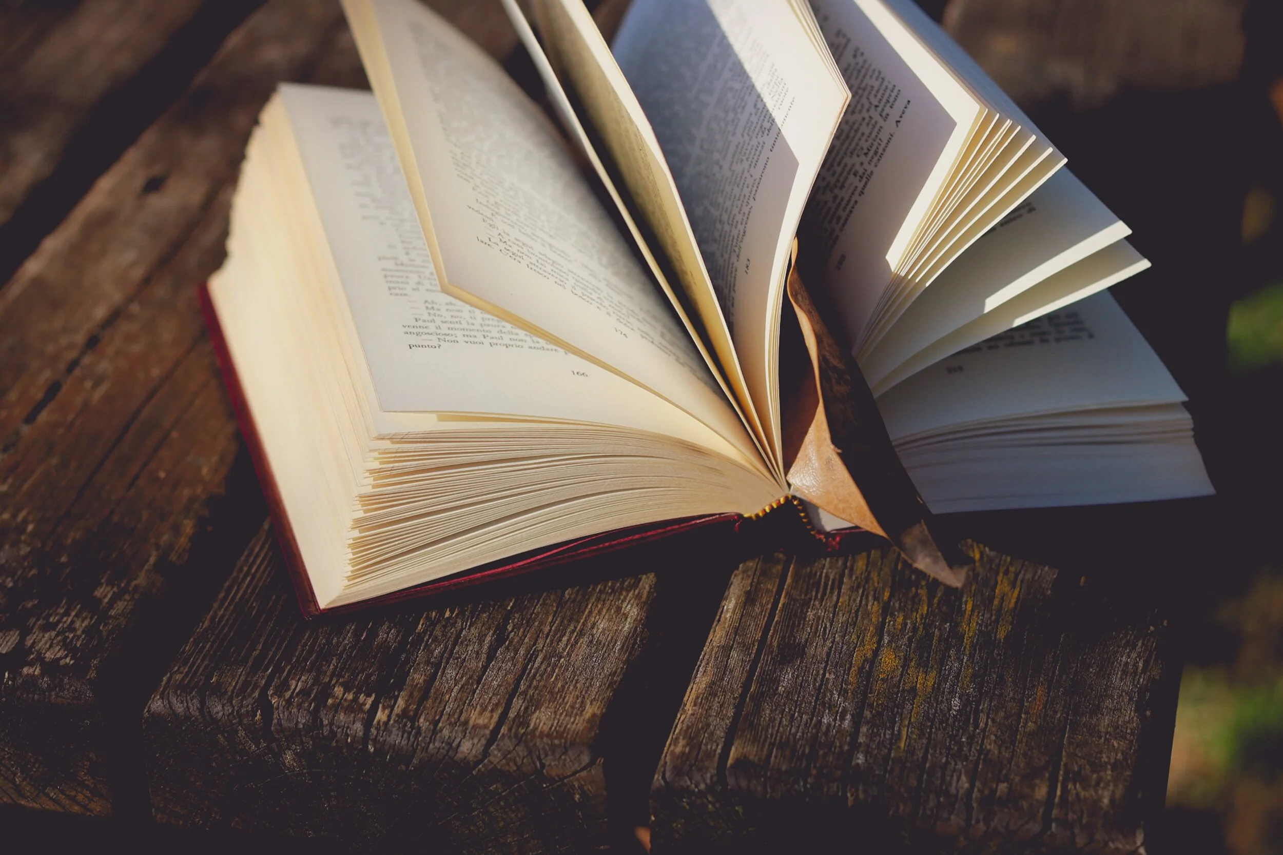 SAPAAC Summer Book Clubs (Summer 2020)