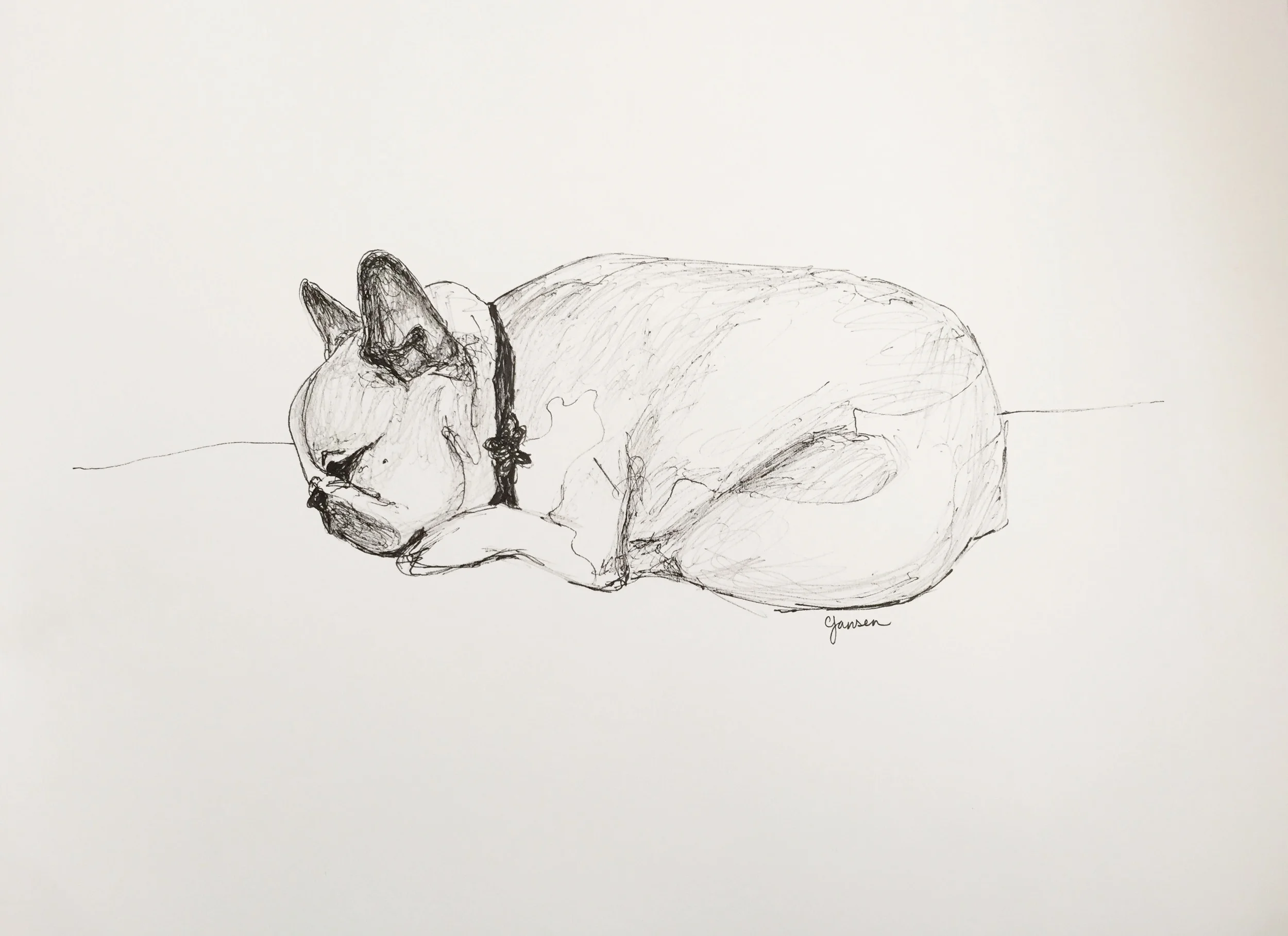 pet portrait - pen drawing