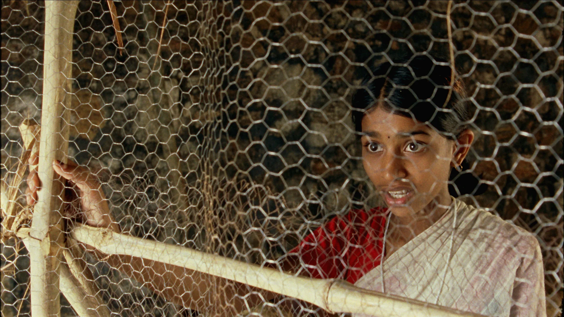 Vanaja behind Chicken coup Wire.jpg