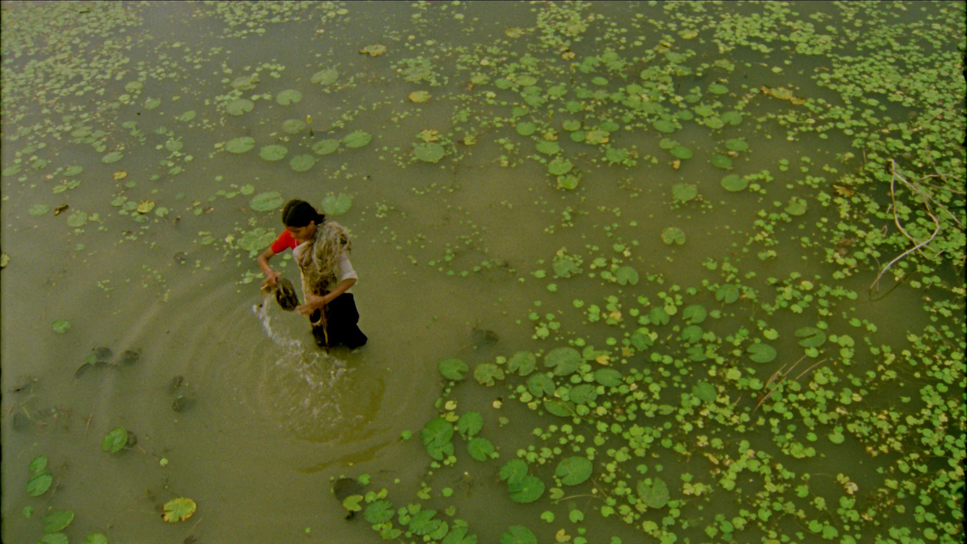 Vanaja in Pond.jpg