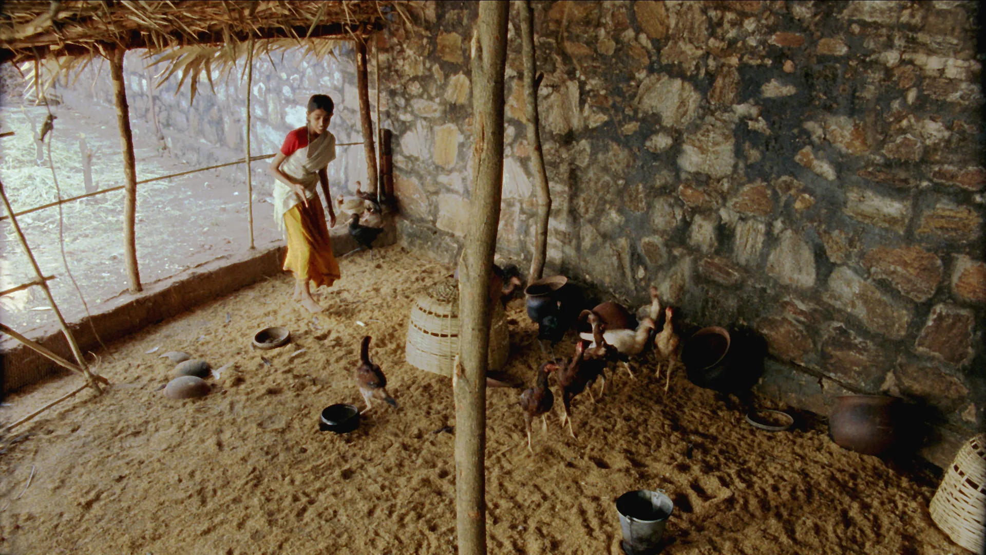Vanaja scolds Chicken.jpg