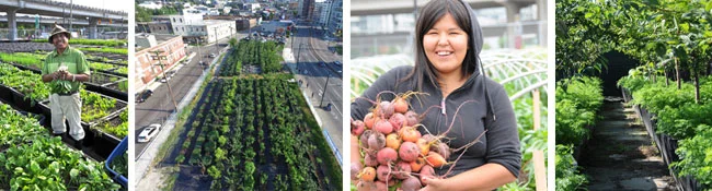 Photo Credit: Michael Ableman and Sole Food Street Farms