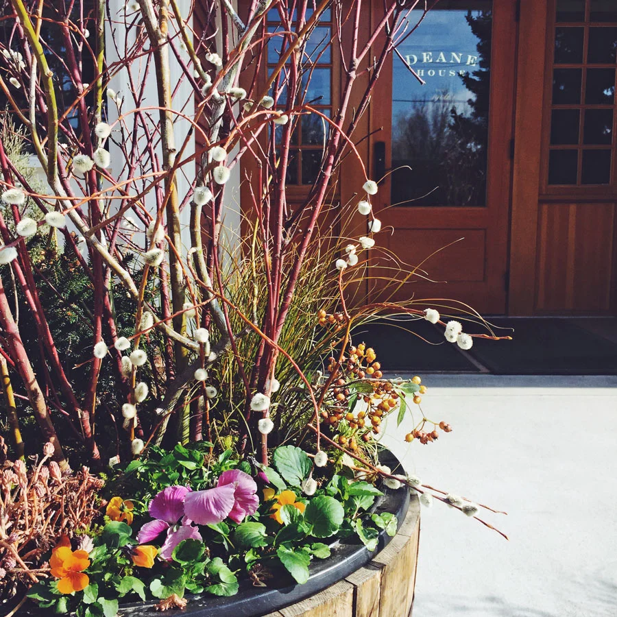 Mother's Day Weekend at Deane House