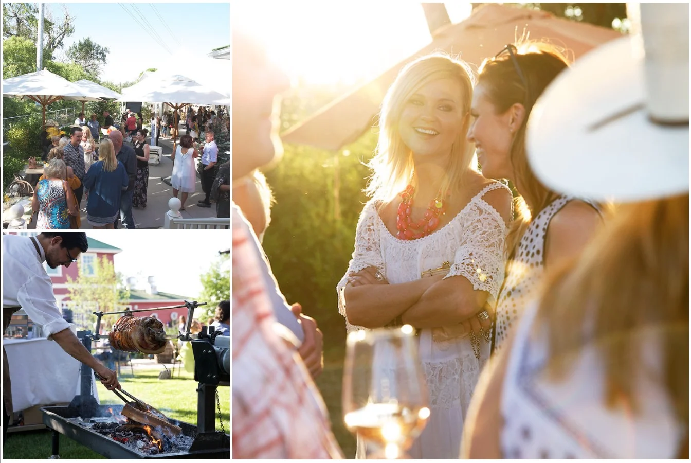 Stampede-Collage-2.jpg