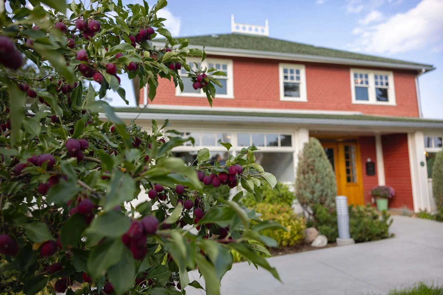 Gather at our house for Thanksgiving Dinner on Sunday. We&rsquo;re serving a family style dinner complete with Winter&rsquo;s Turkey and all of your favourite festive side dishes including Poplar Bluff Farm Potato Pomme Pure&eacute;, Honey Glazed Nan