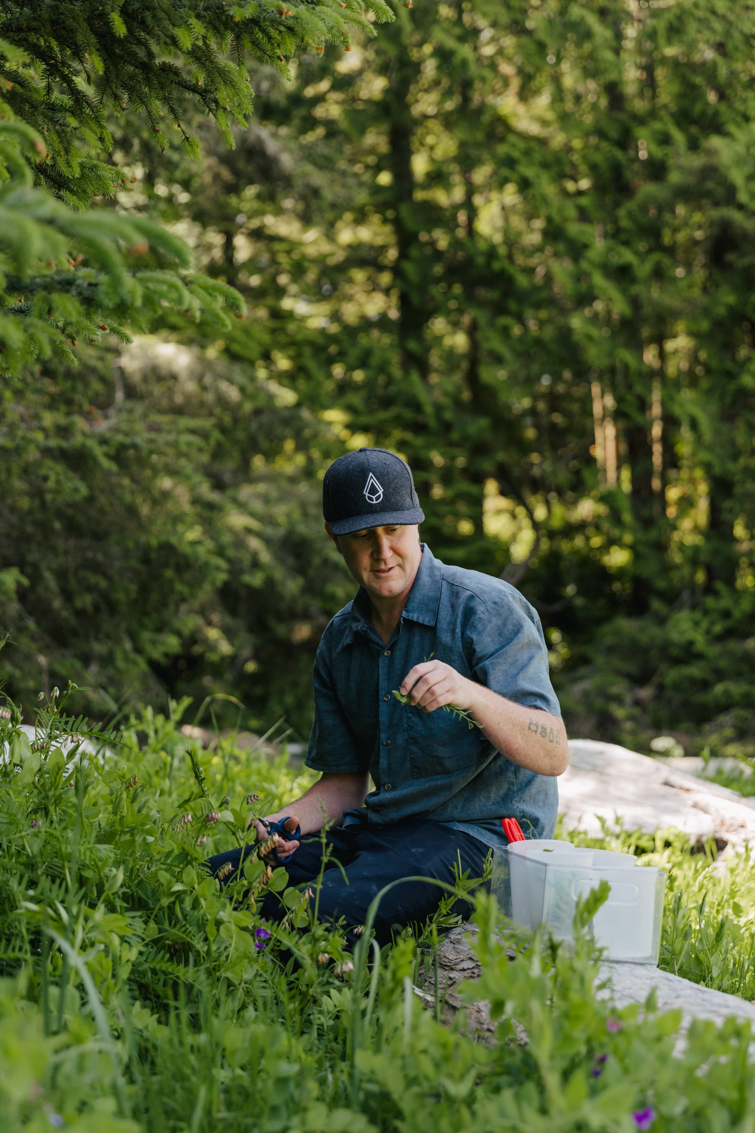 Pluvio - Jordyn Giesbrecht - Warren Foraging.jpg