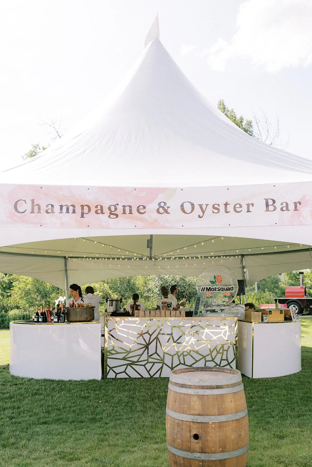 Rose & Croquet 2025_089.jpg