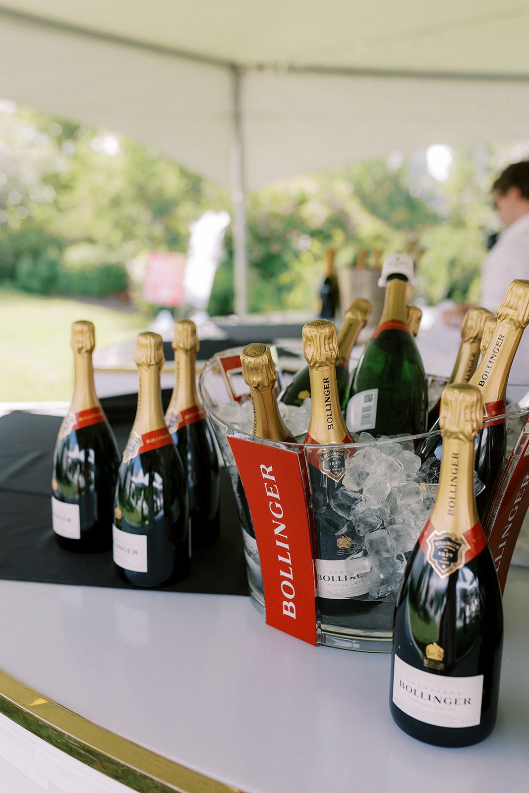 Rose & Croquet 2025_091.jpg