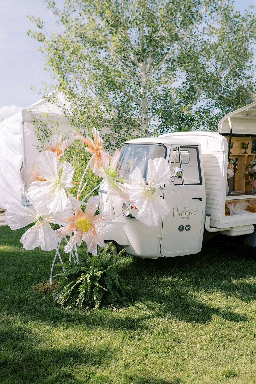 Rose & Croquet 2025_007.jpg