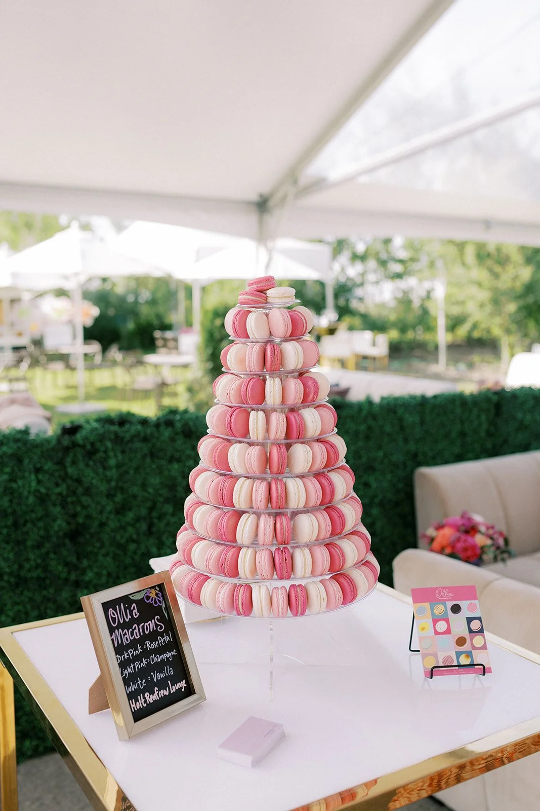 Rose & Croquet 2025_107.jpg