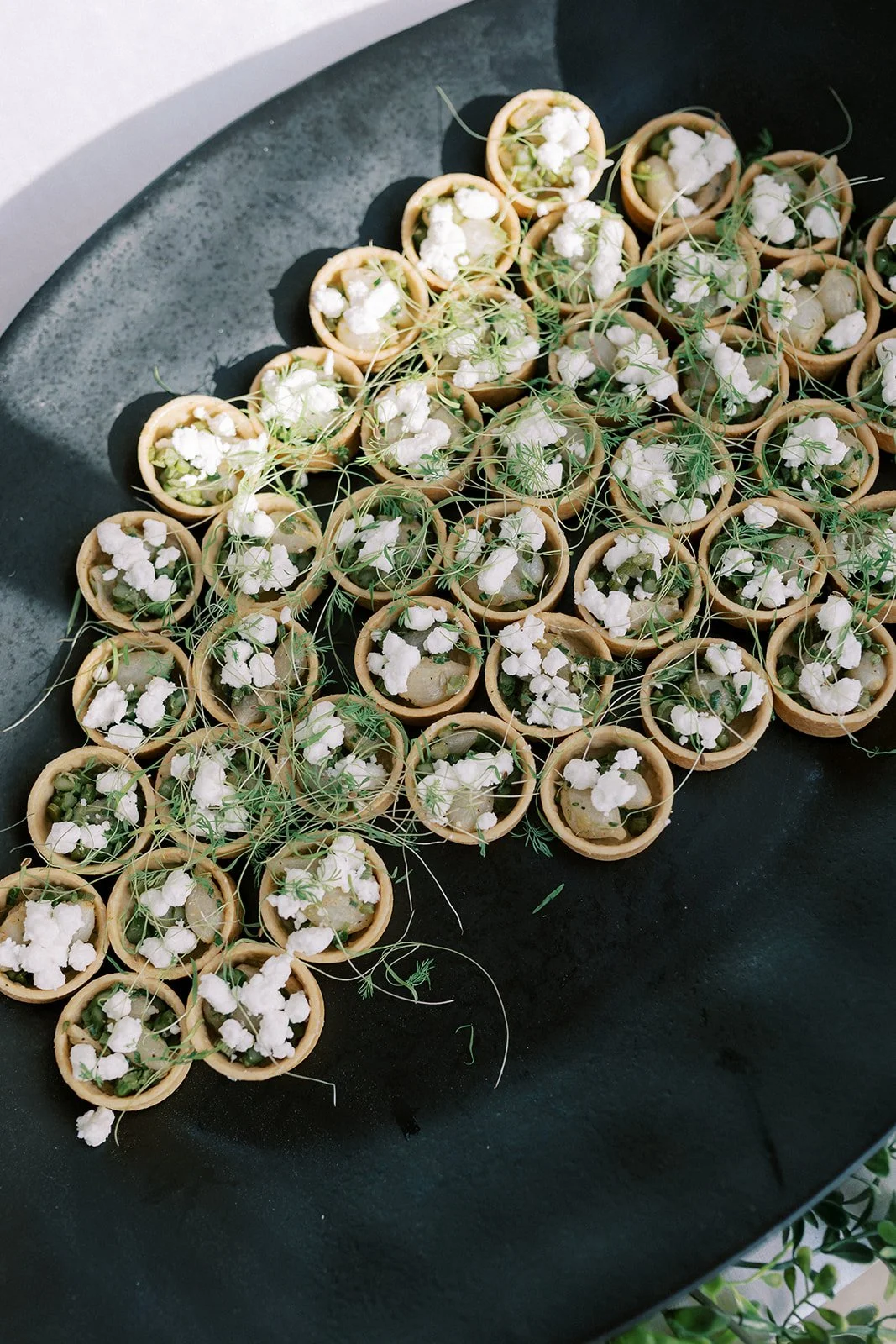 Rose & Croquet 2025_209.jpg