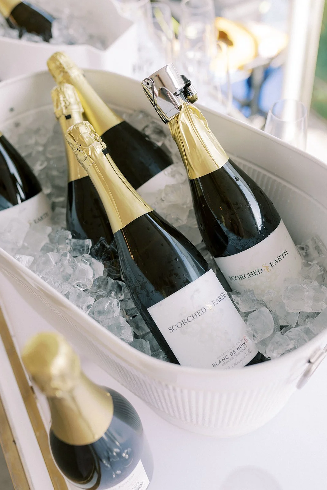 Rose & Croquet 2025_272.jpg