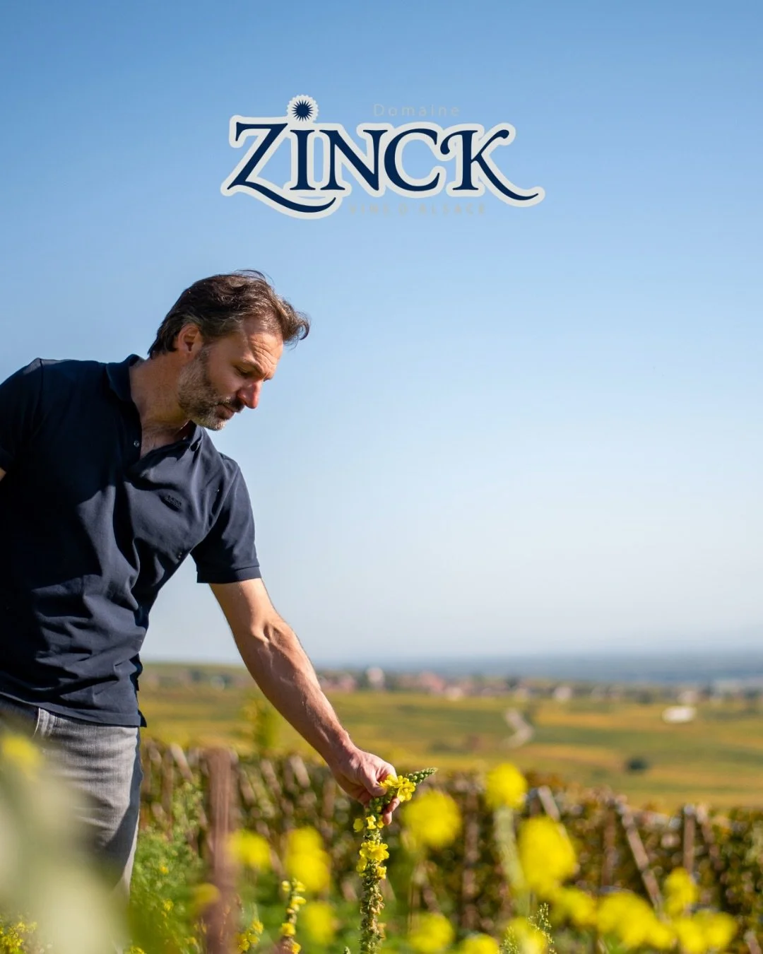 Join us for a special evening with winemaker, Philippe Zinck. Philippe brings the quiet magnetism of a winemaker who doesn&rsquo;t just craft wine, he lives inside every nuance of his vines. As the third-generation steward of Domaine Zinck in Eguishe