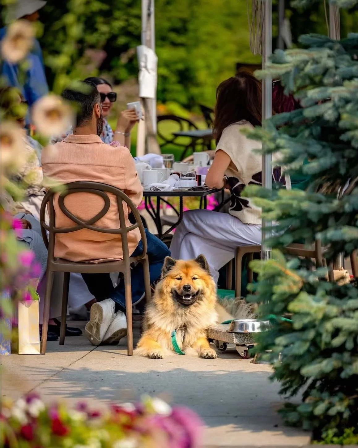 Weekend dining vibes. 

Photos: @awornoutlens 
#yycdining #yycnow #deanehouseyyc #yycfood