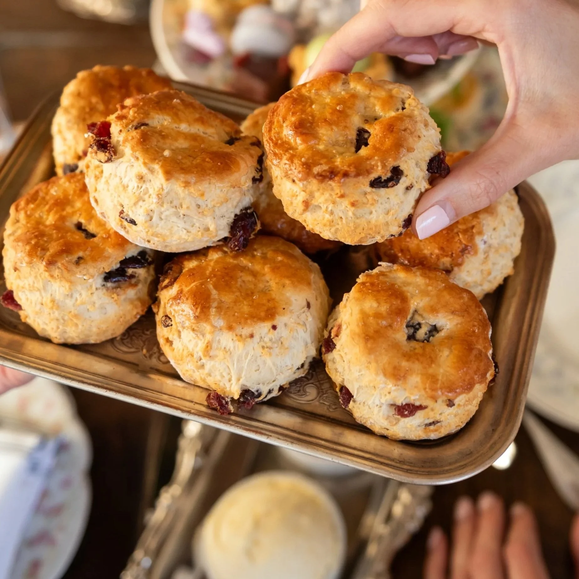 Orange and Rosemary Scones with Clotted Cream & Jam