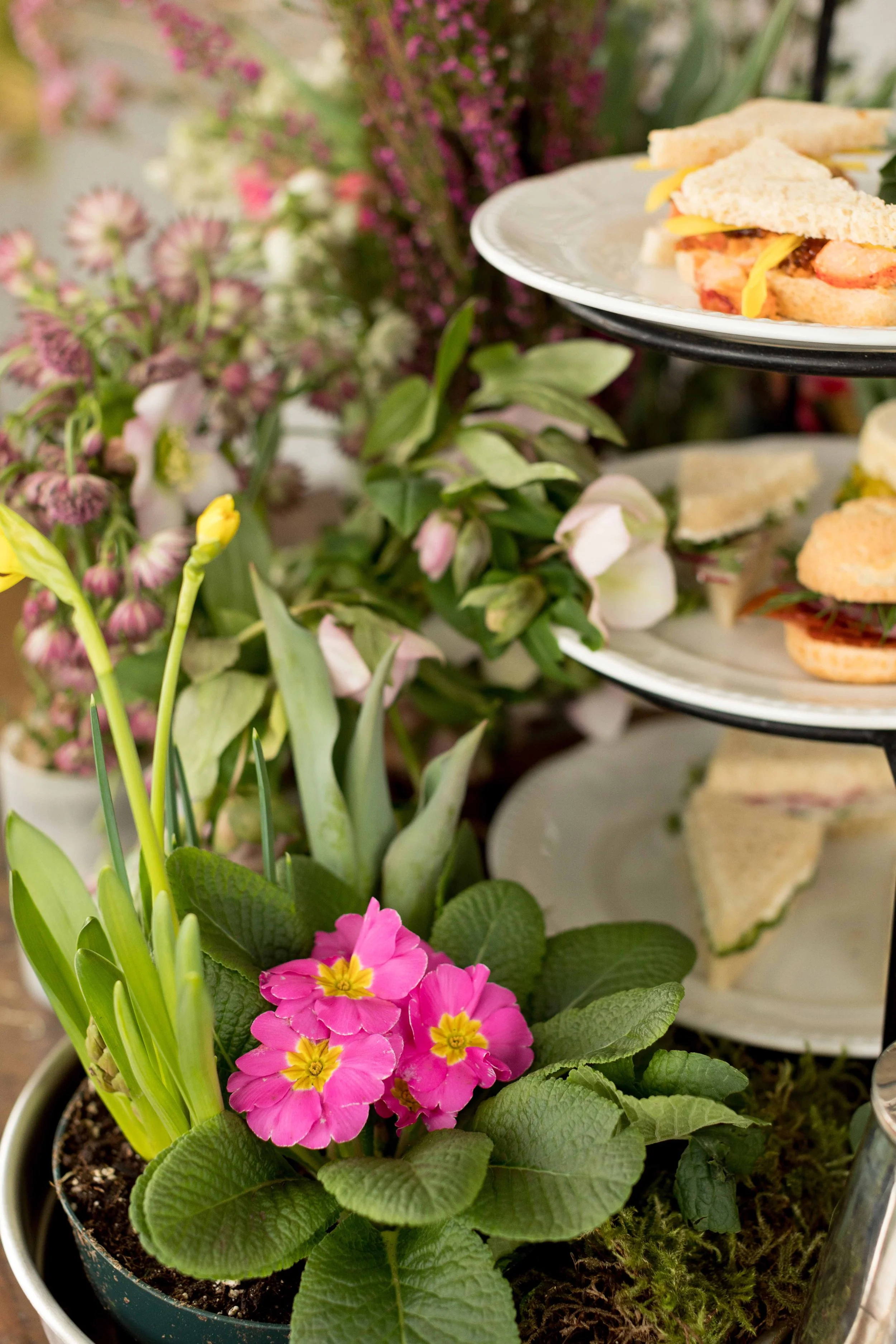 DeaneHouse-HighTea0Y7A9010.jpg