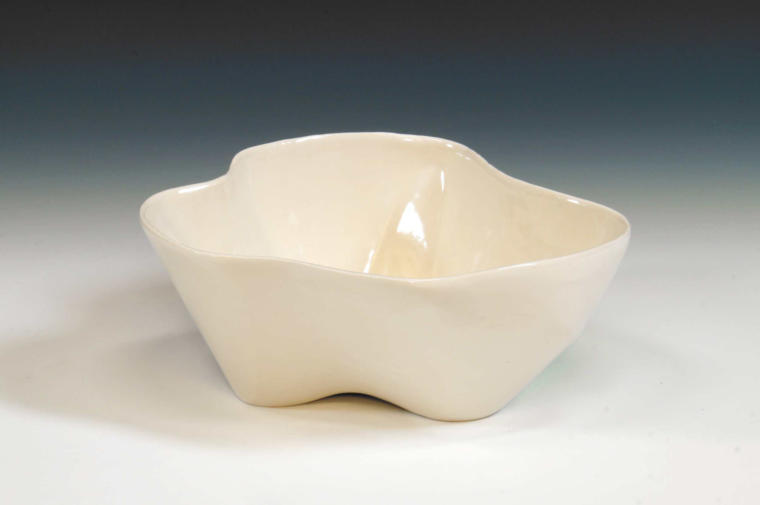 Slip Cast Bowl