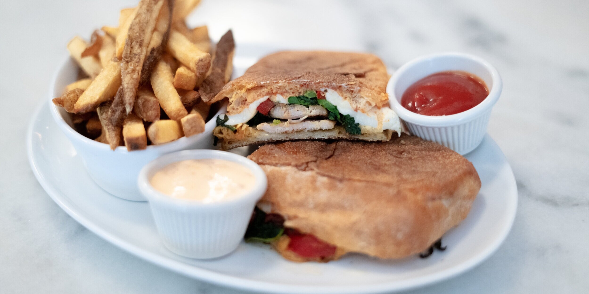 Grilled Chicken Mozzarella Panini with Fries