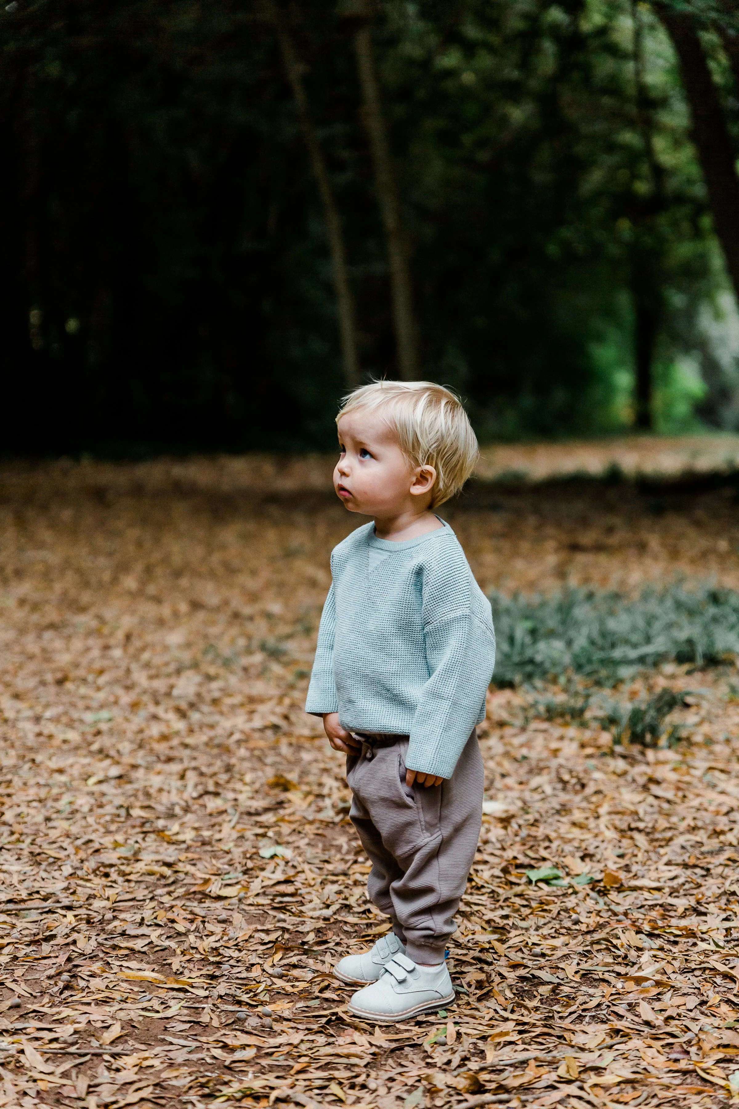 Vande Guchte2021-30.jpg