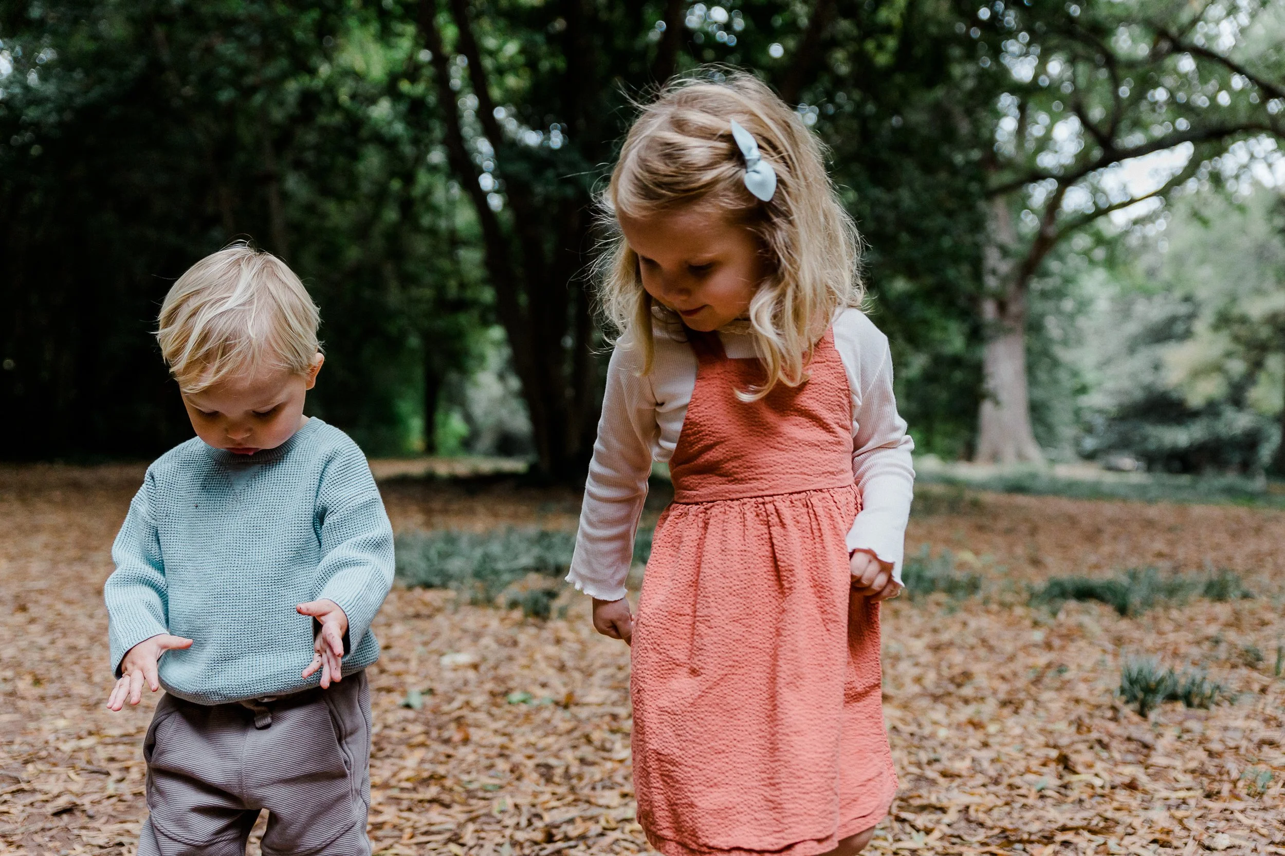 Vande Guchte2021-39.jpg