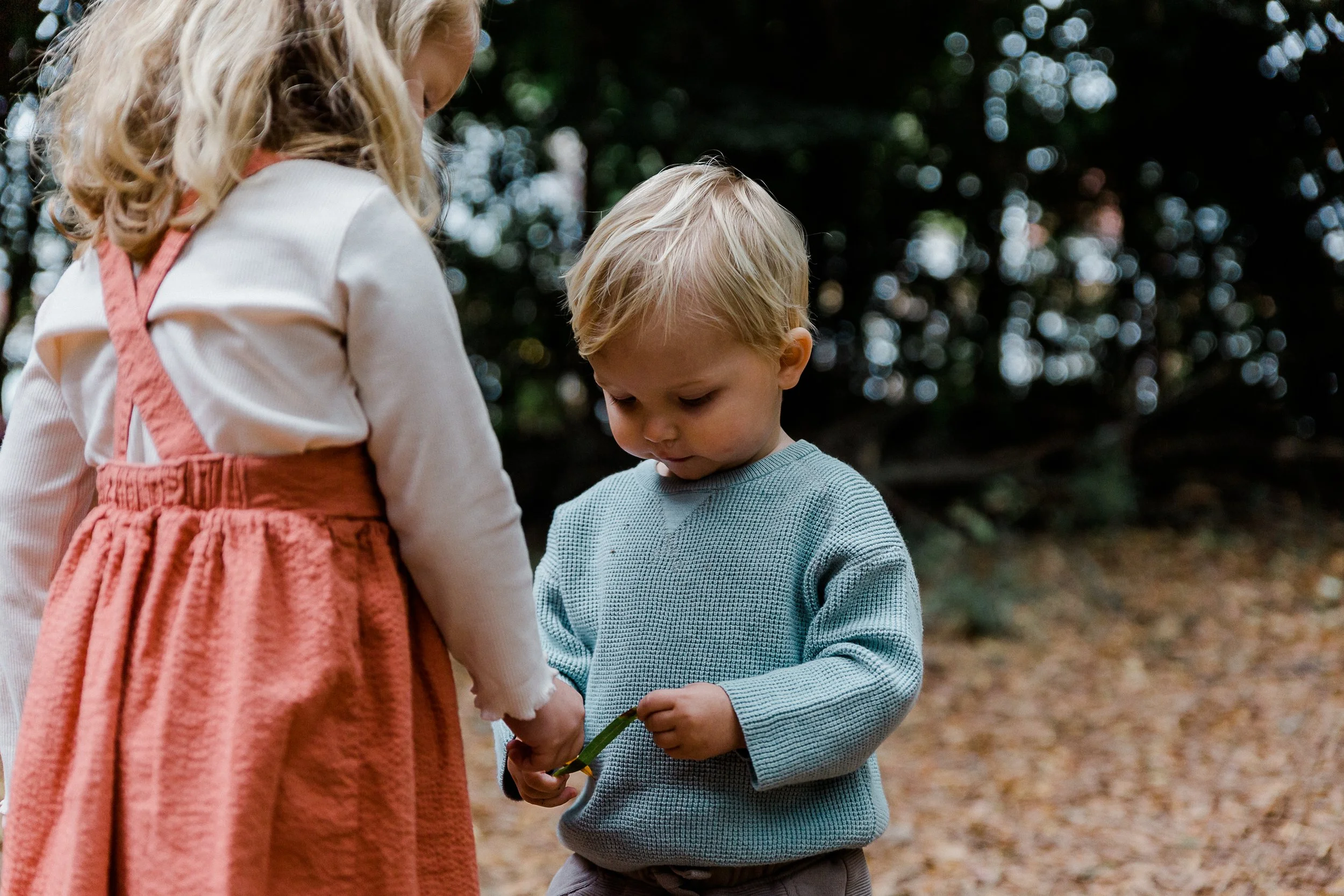 Vande Guchte2021-41.jpg