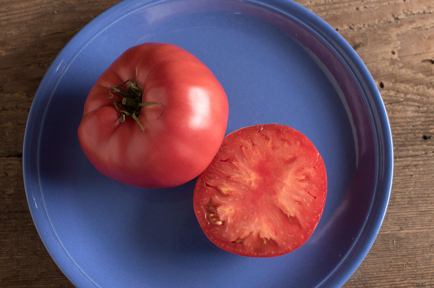 Tomato - Brandywine, HL