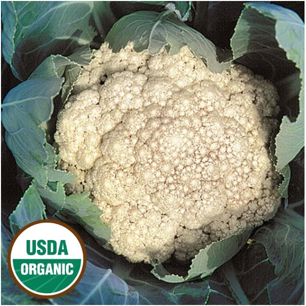 Cauliflower - Snowball
