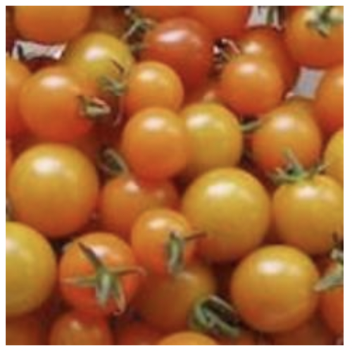Tomato Sweet Orange II