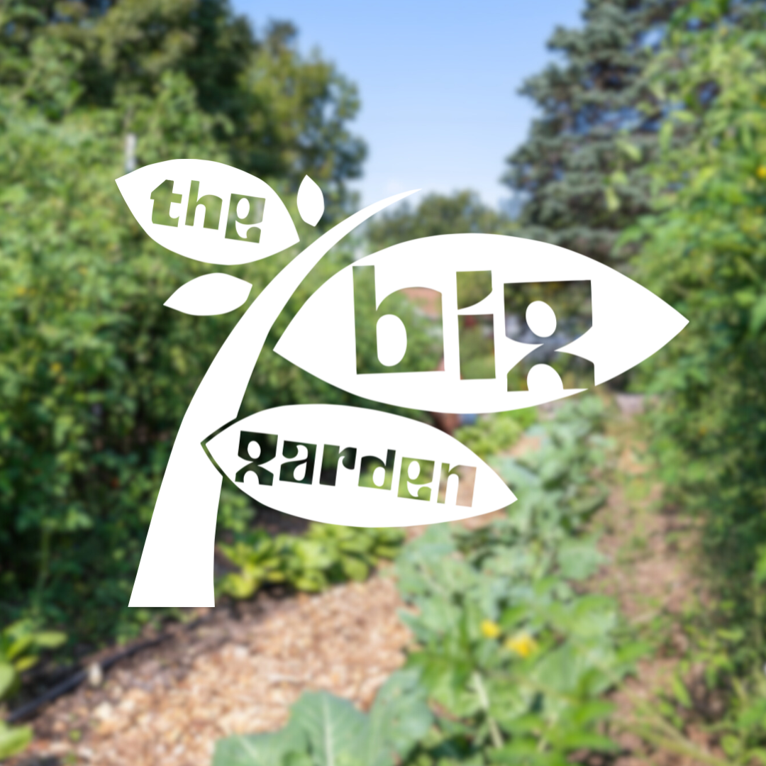 Planning Your Year in the Garden: March 2025 Tips