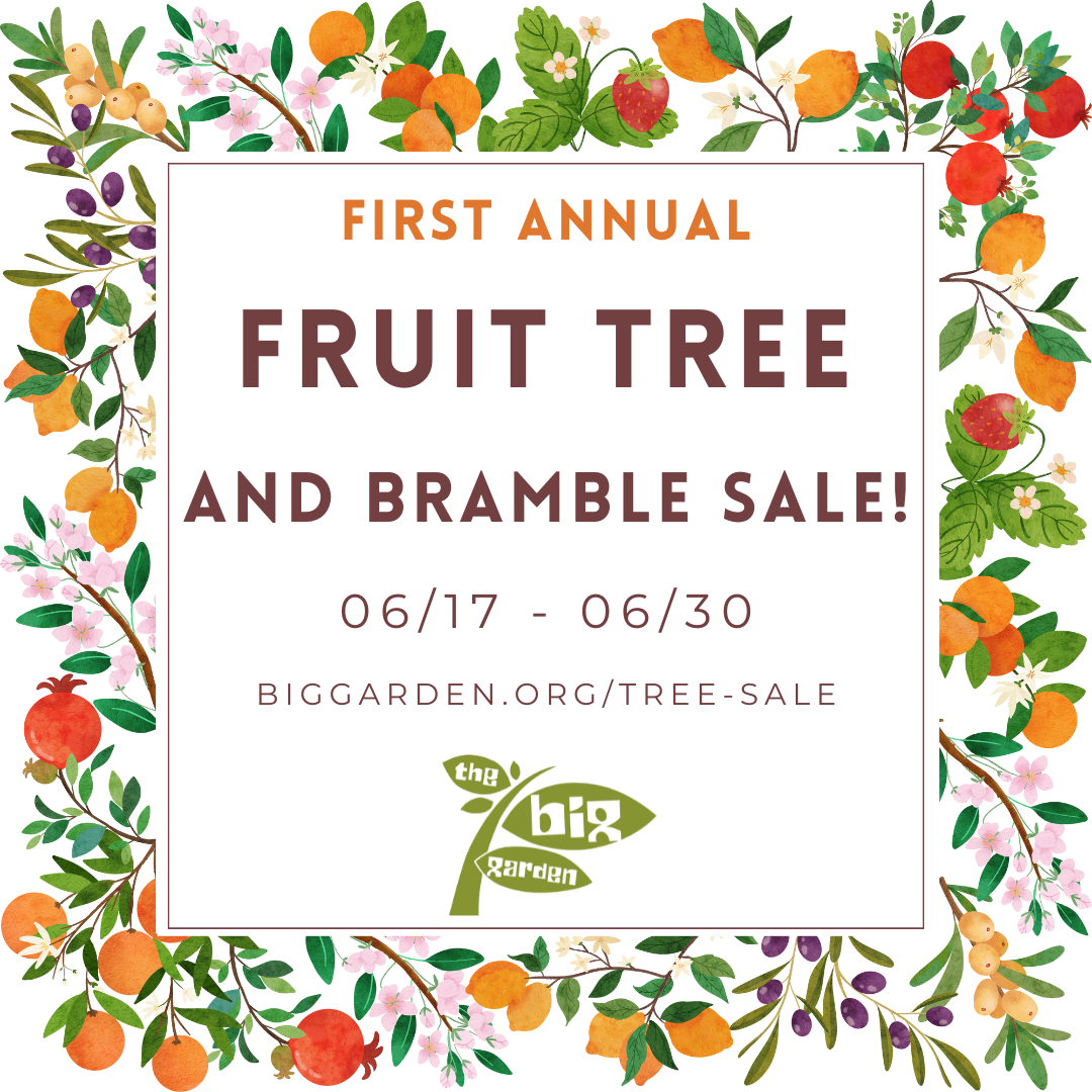 Tree Sale Info — The Big Garden