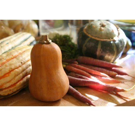 Honeynut Butternut Squash