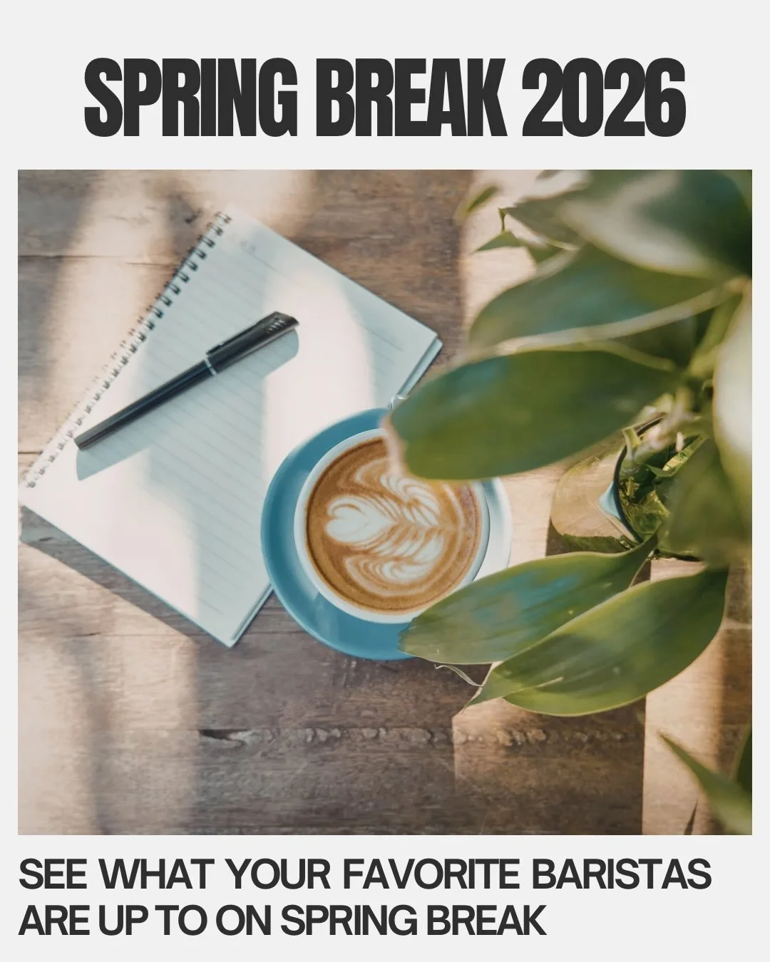 What are you up to for spring break??