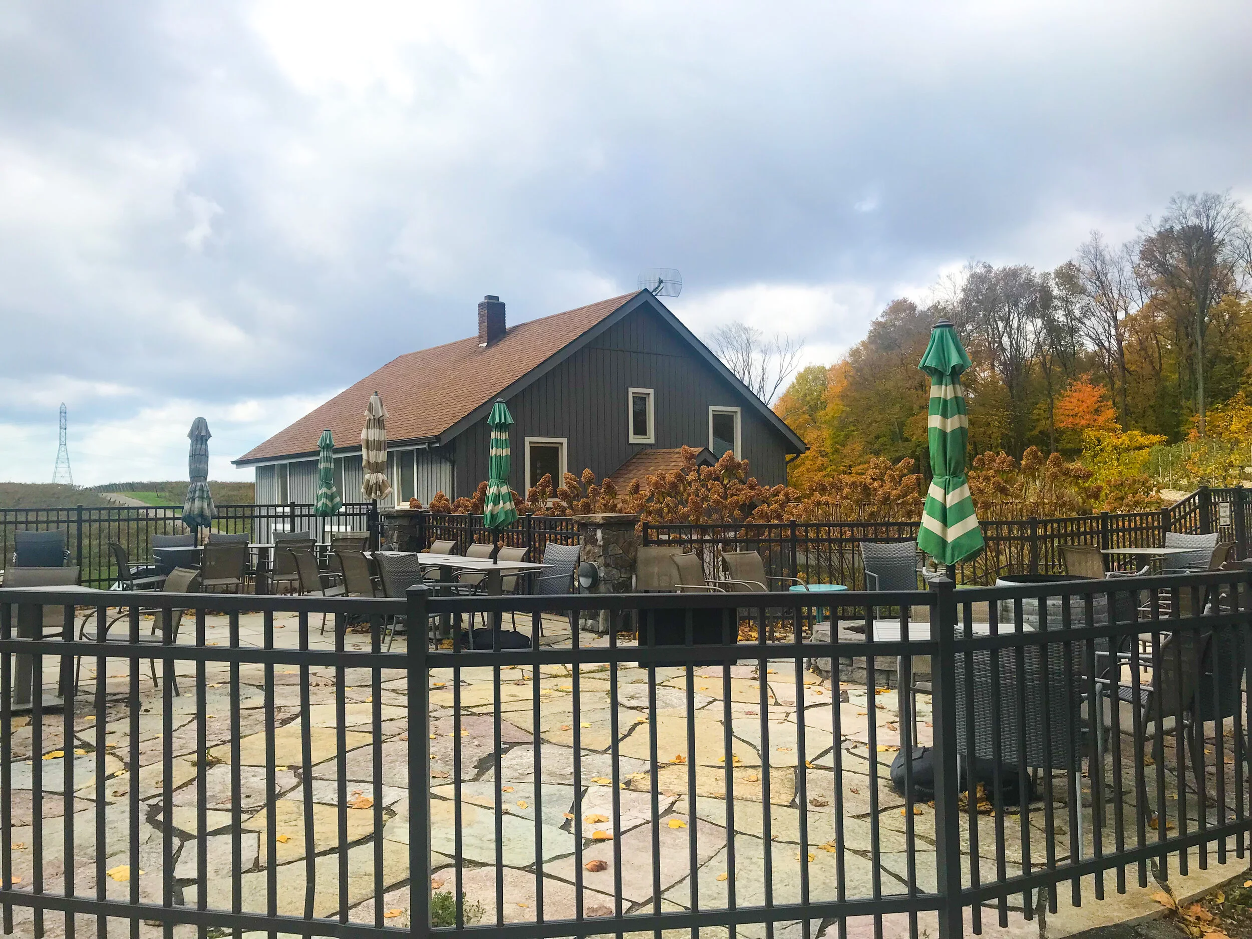 A Weekend Getaway in Michigan Wine Country - Is There More to Michigan Than Blueberries?