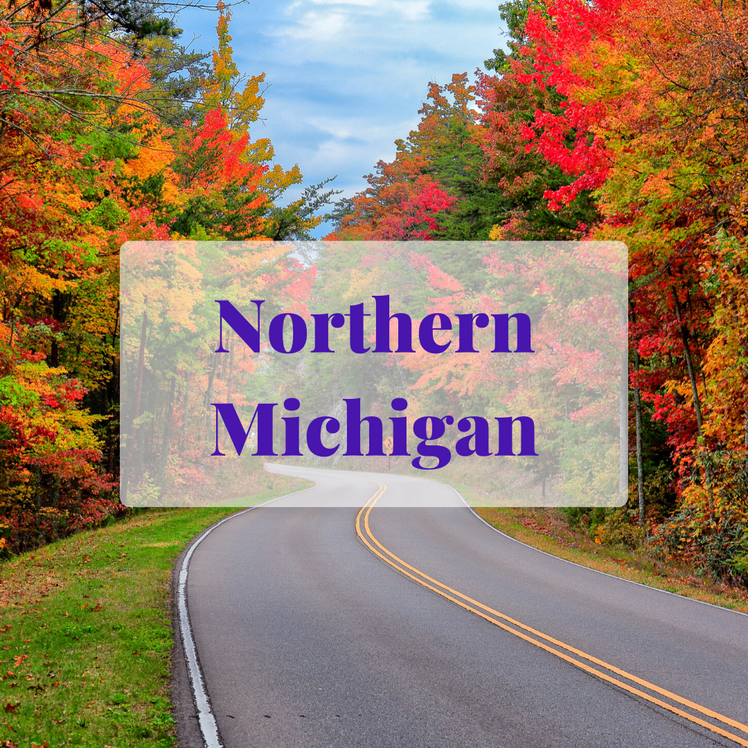 Northern Michigan button.png