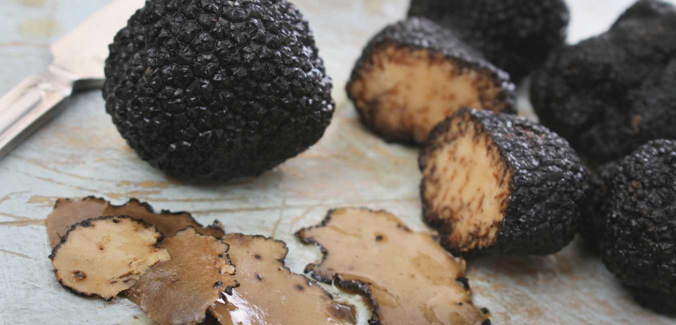 perigord truffle (2).png