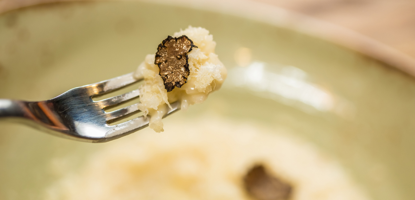 truffle (4).png