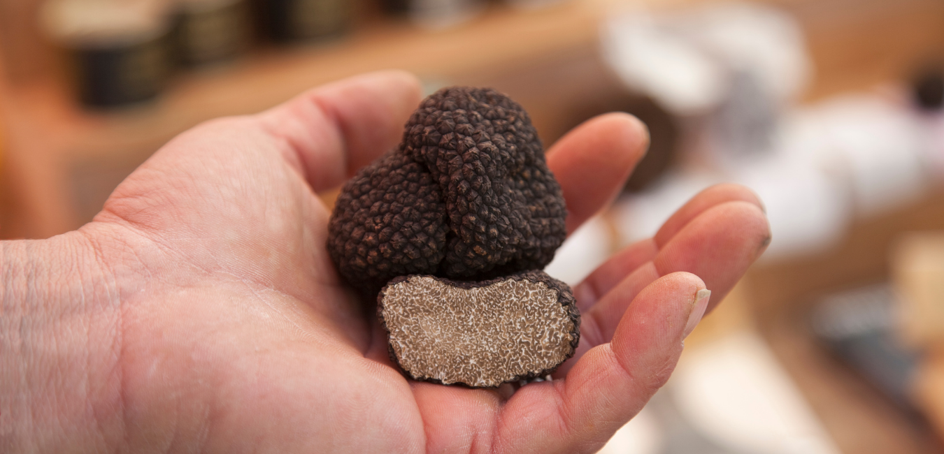 truffle (2).png