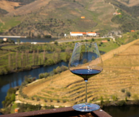 douro.png