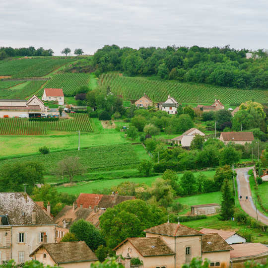 cote challonaise burgundy.png