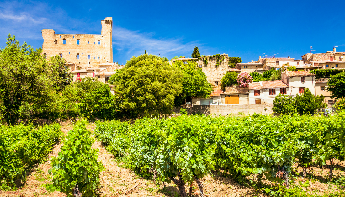 castle and vineyard in chateauneuf du pape.png
