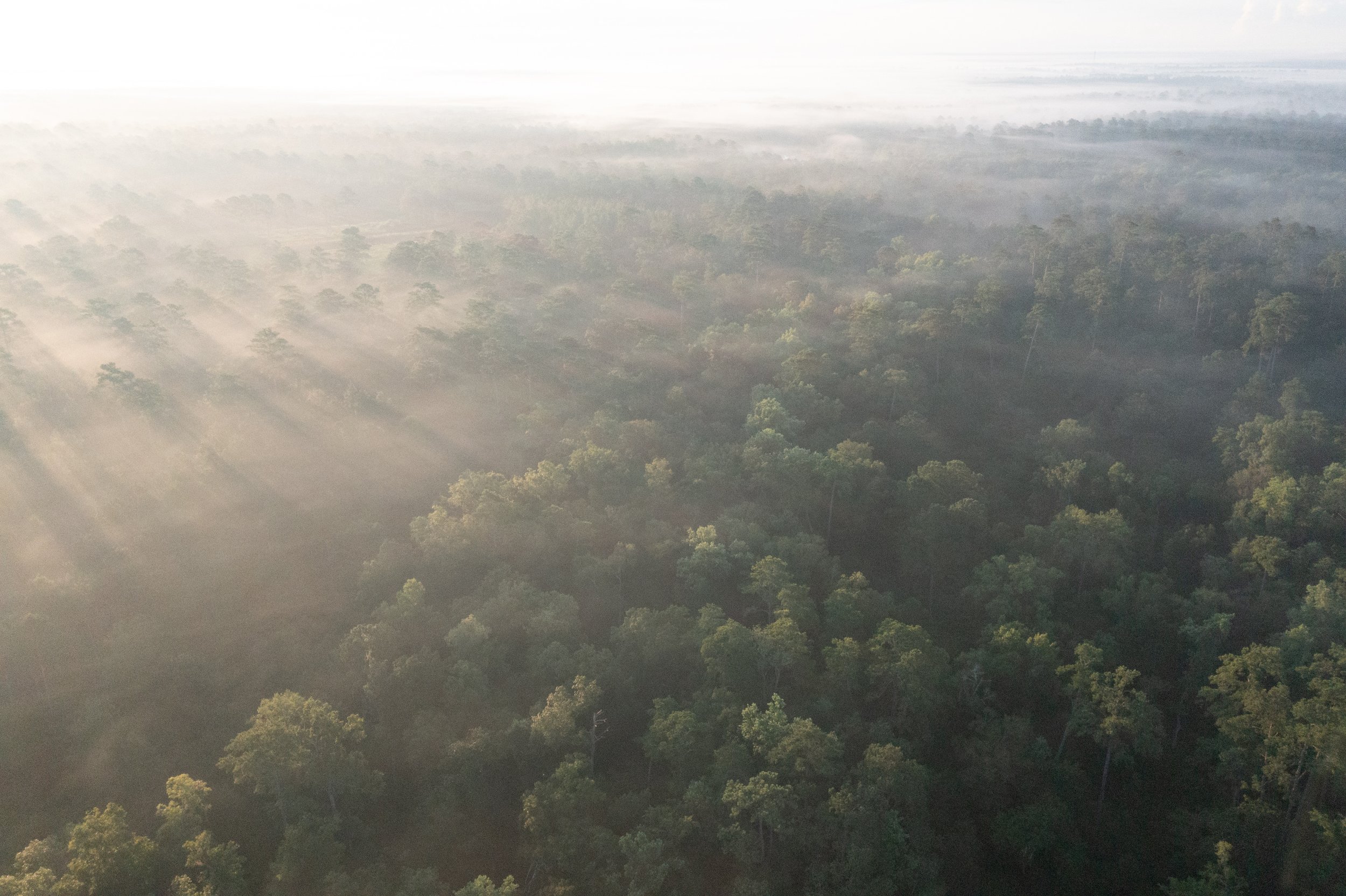 DJI_0872.jpg