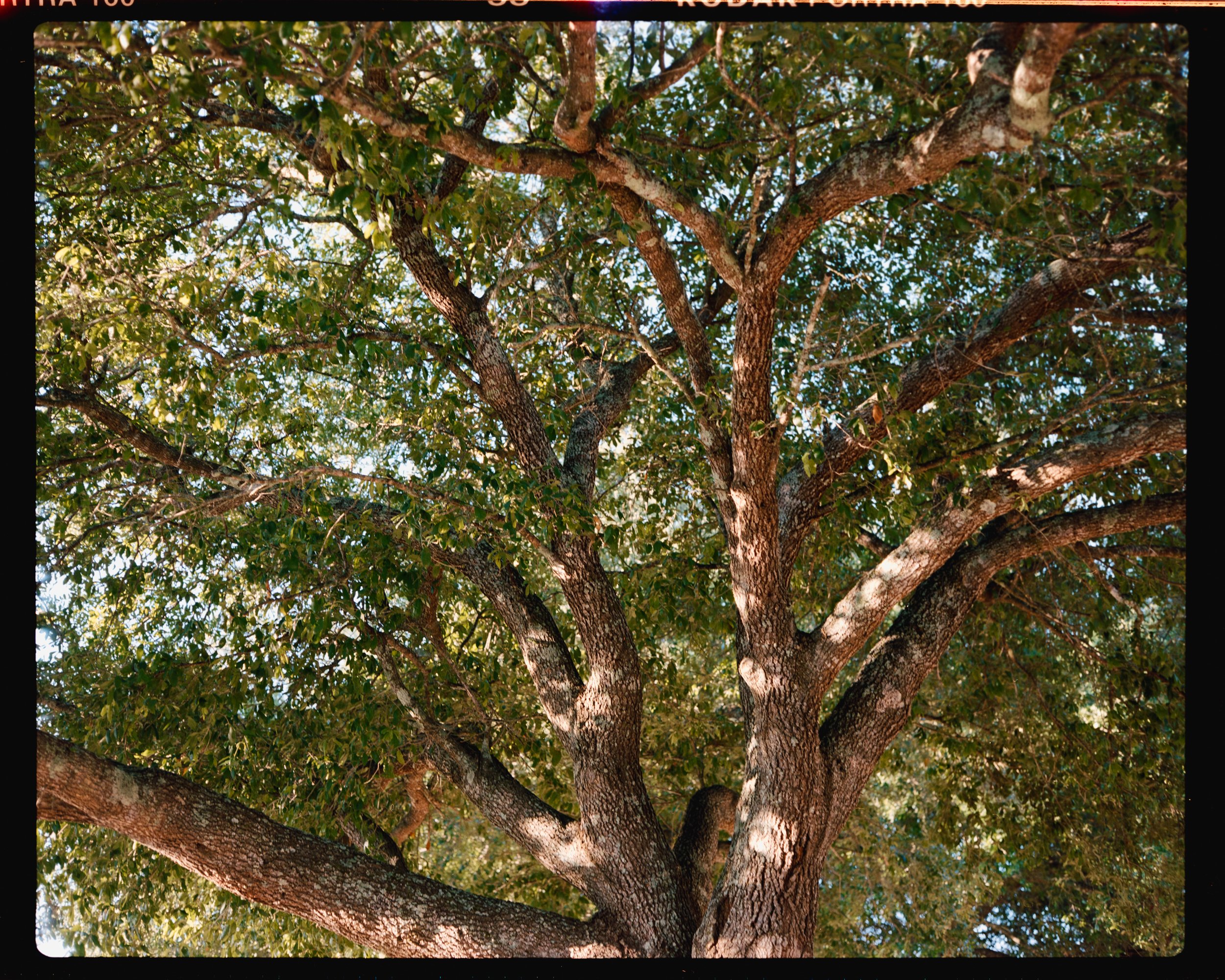 120MM-Makina67-P160-R00593-2103.jpg