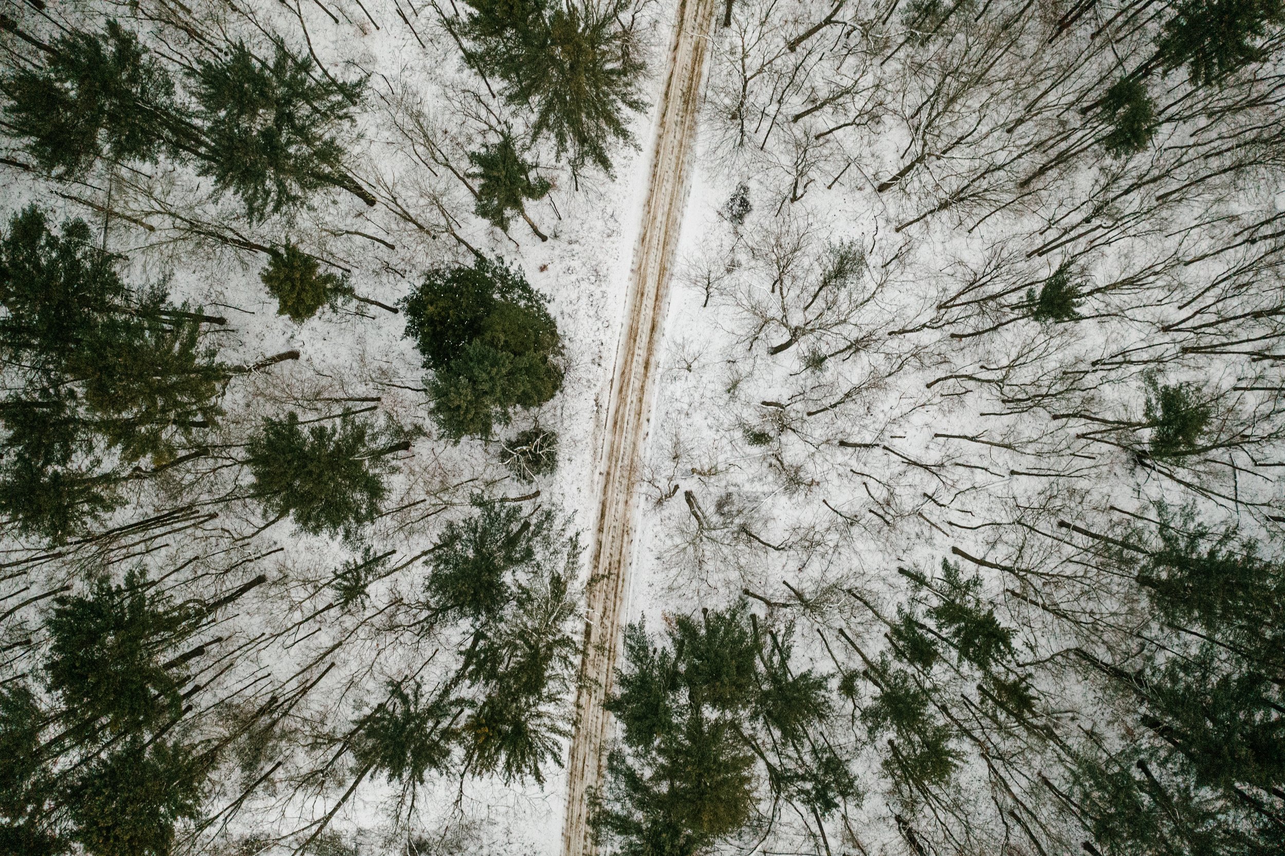 DJI_0496.jpg