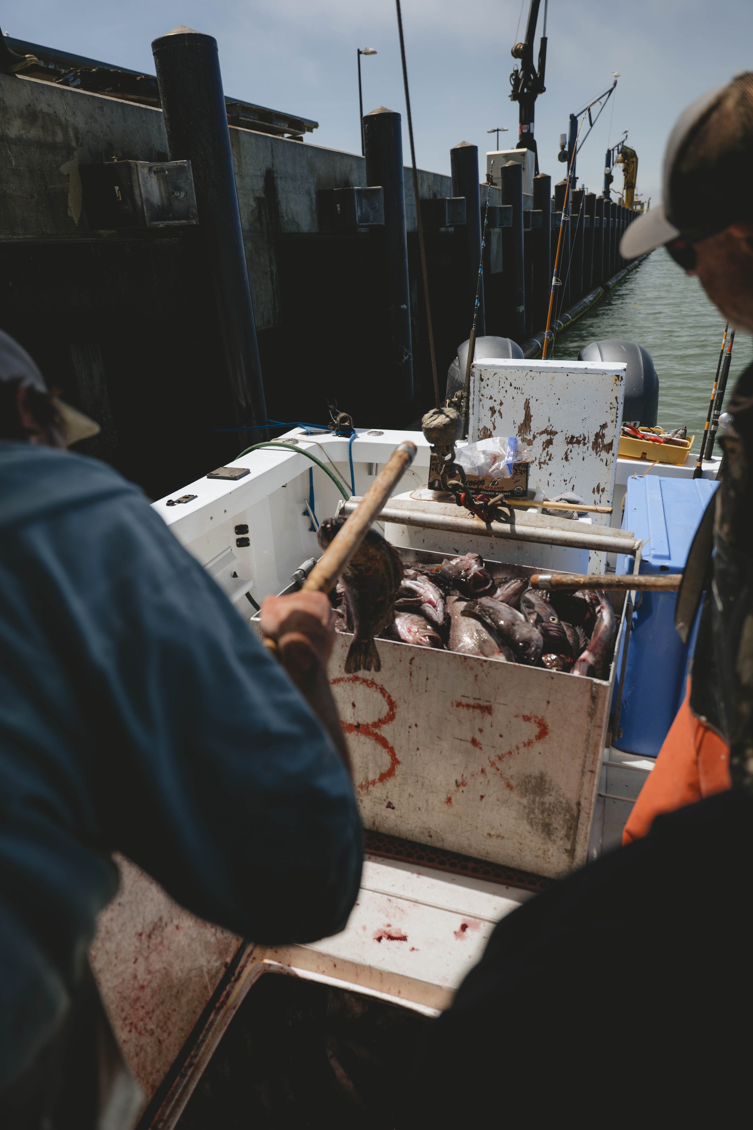 Josh & Josh Rockfish Fishing Arcata-1031673.jpg