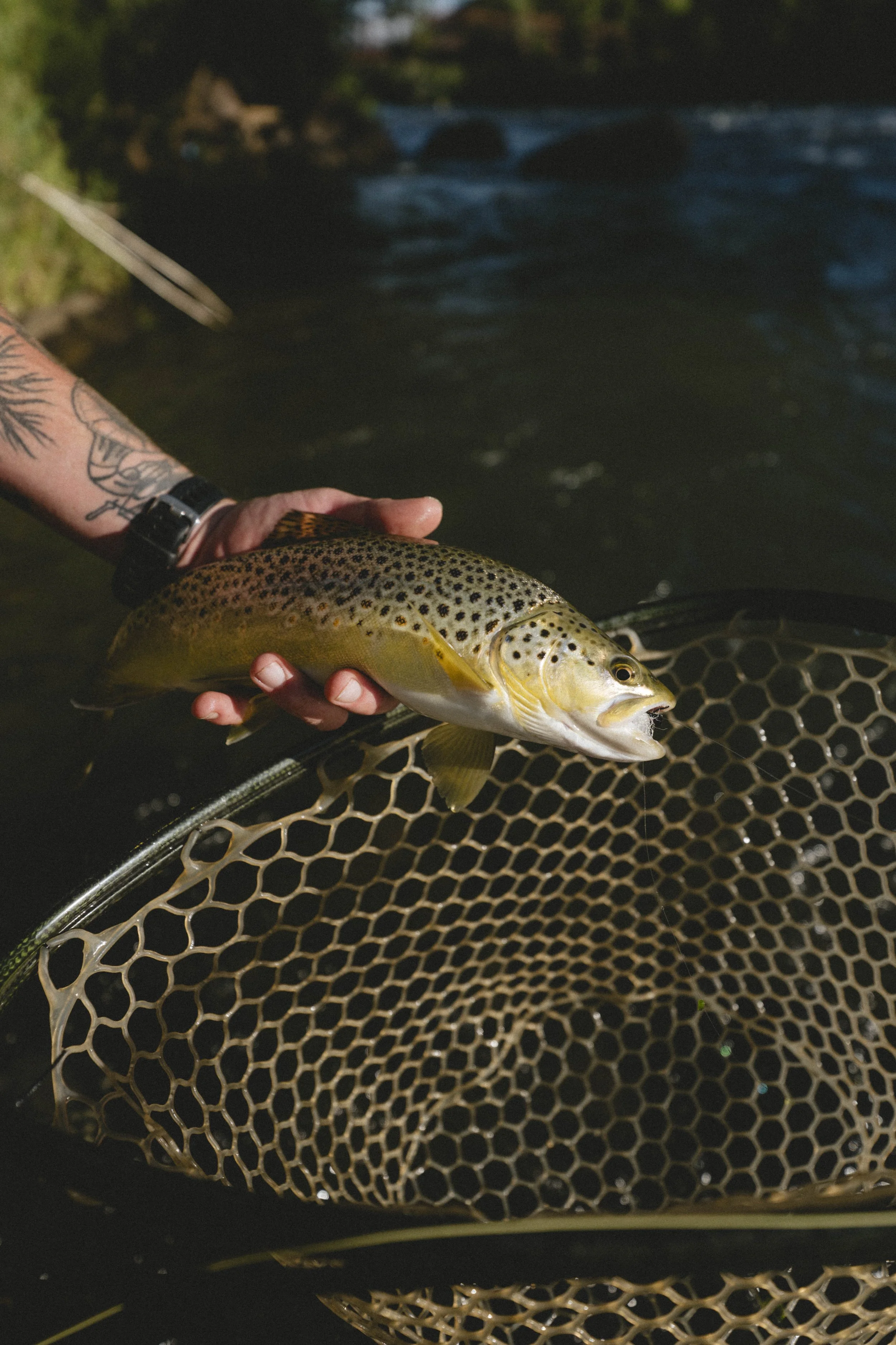Animas Fly Fishing_Edited_06.09.26-1047289.jpg