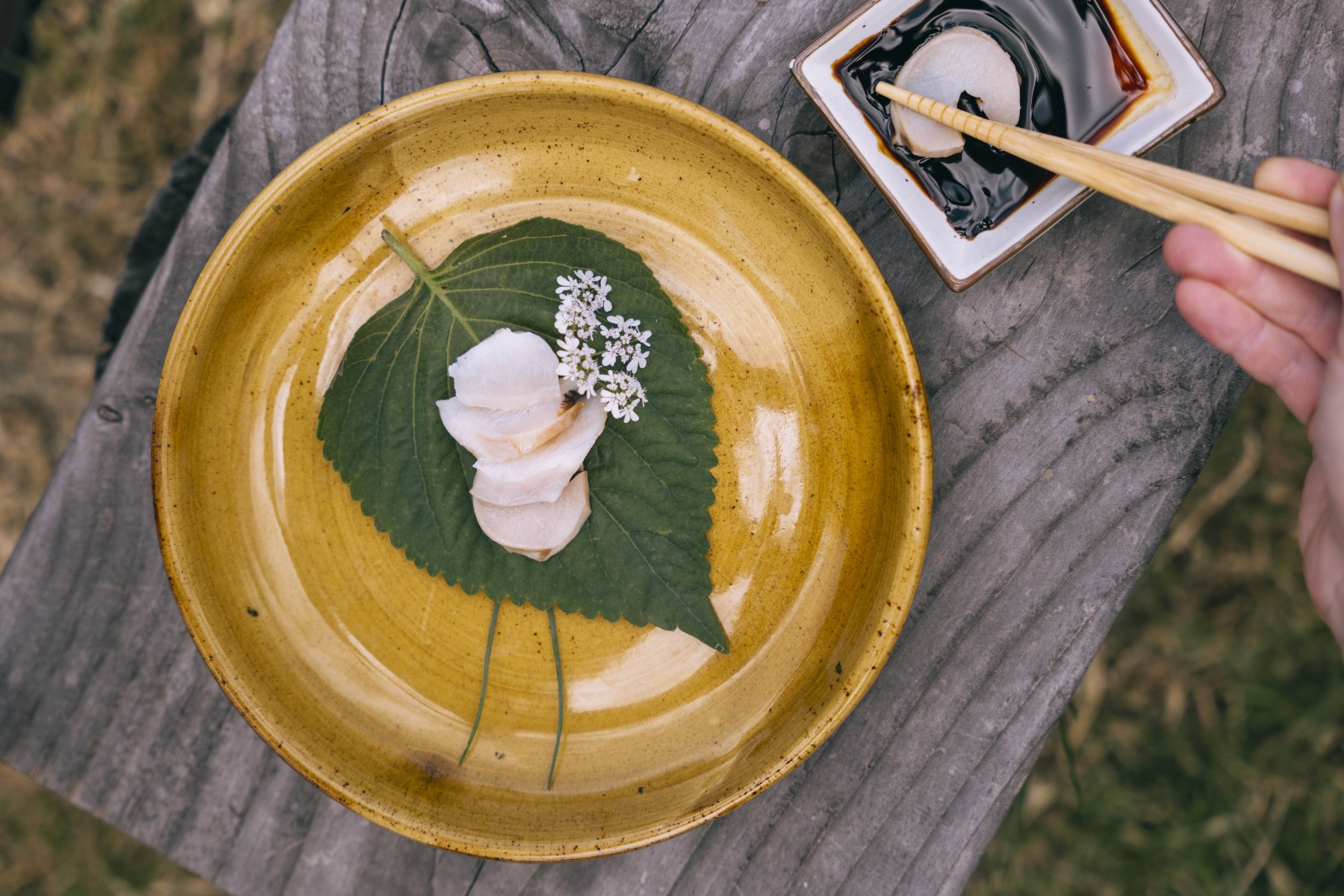 Fishful Future Backyard Shoot 06.03.24-1411834.jpg