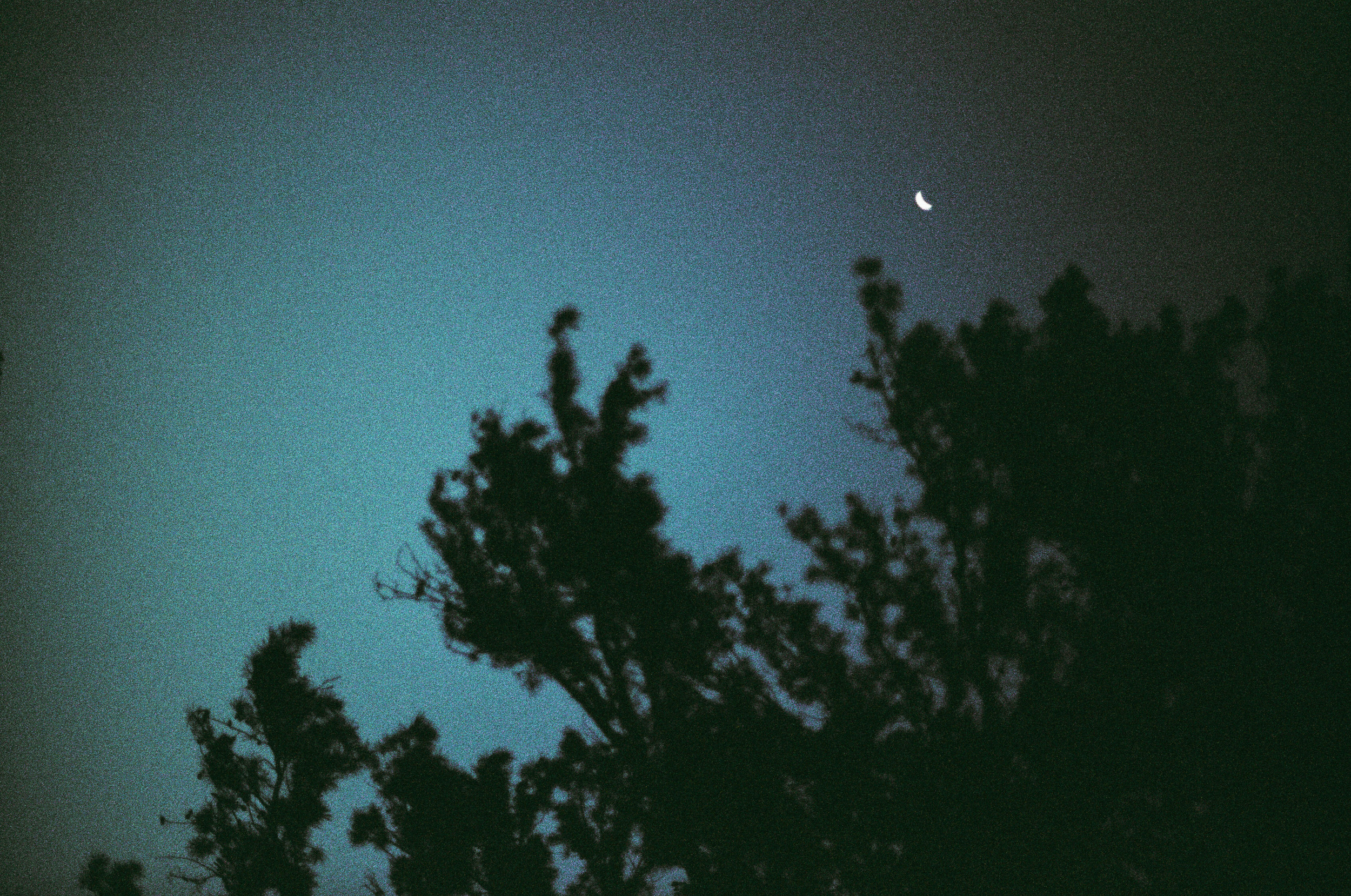 South Carolina, 2016